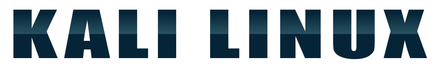 kali linux tutorial hack