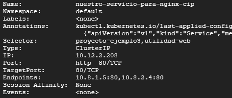 Primeros pasos con Kubernetes 4